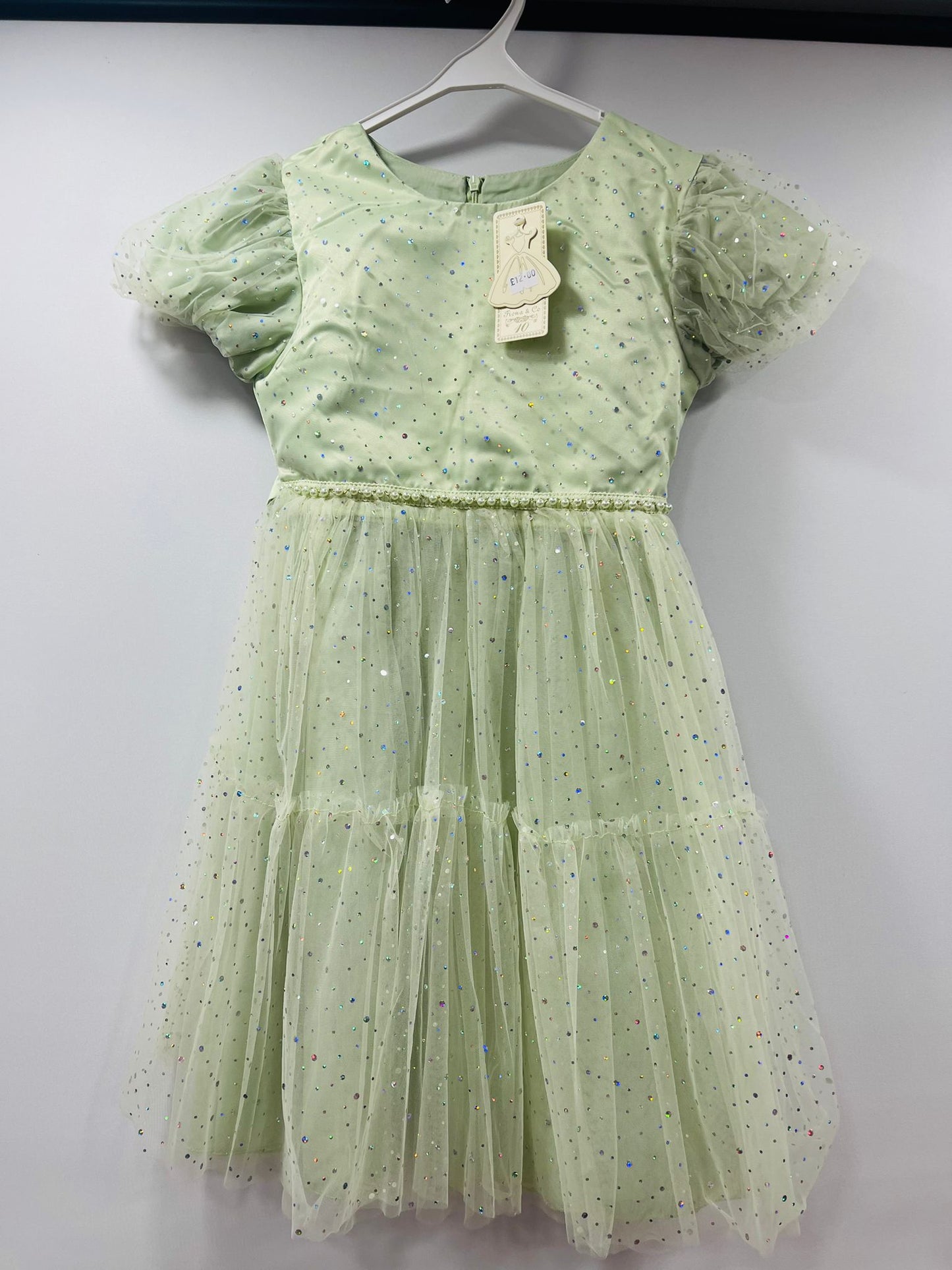 Mint Glitter Tulle Dress